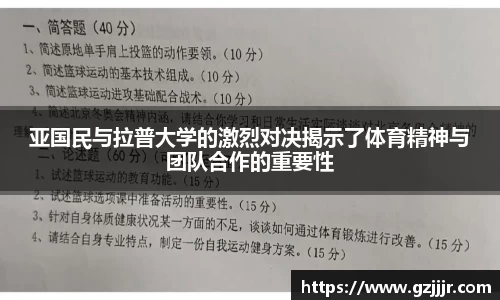 3377体育