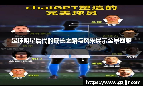 3377体育app