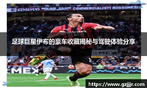 3377体育官网