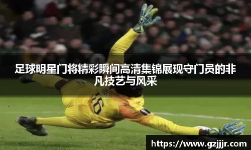 3377体育官网