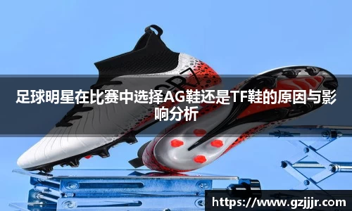 3377体育官网